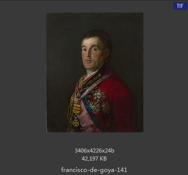 Francisco Goya