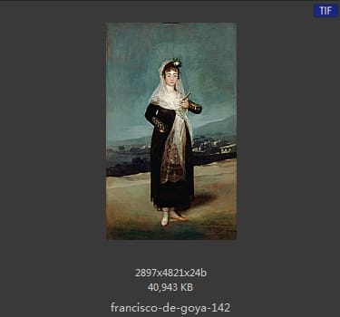 Francisco Goya