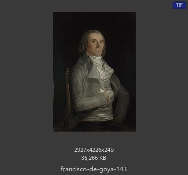 Francisco Goya