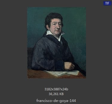 Francisco Goya