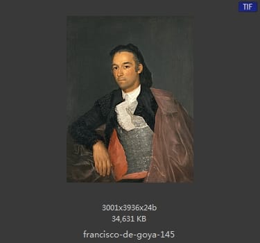 Francisco Goya