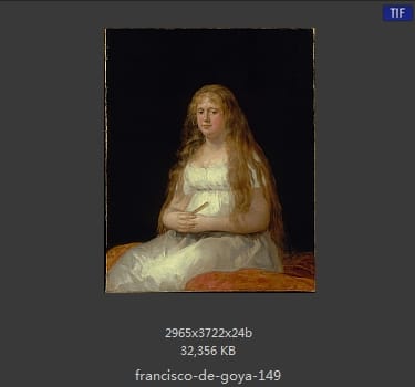 Francisco Goya