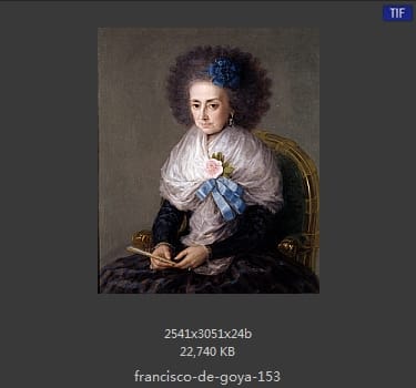 Francisco Goya