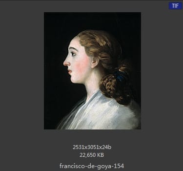 Francisco Goya