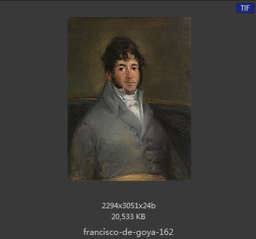 Francisco Goya