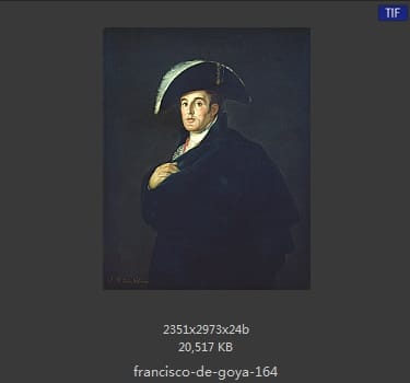 Francisco Goya