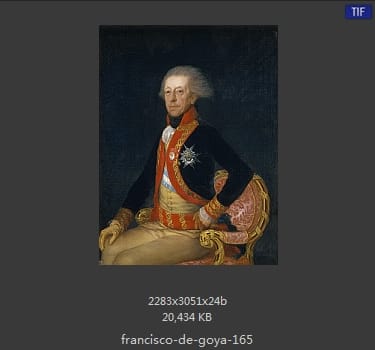 Francisco Goya