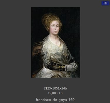 Francisco Goya