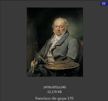 Francisco Goya