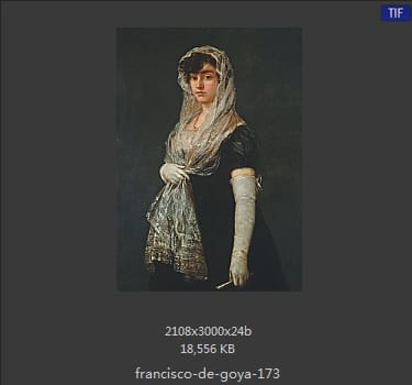 Francisco Goya