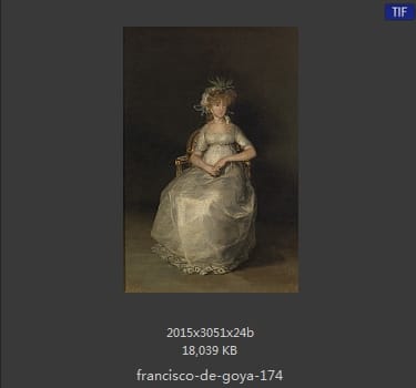 Francisco Goya