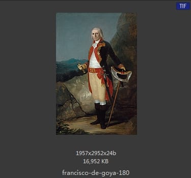 Francisco Goya