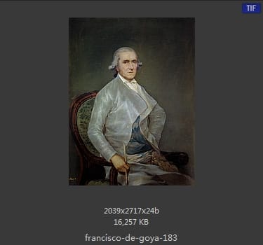 Francisco Goya