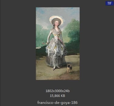 Francisco Goya