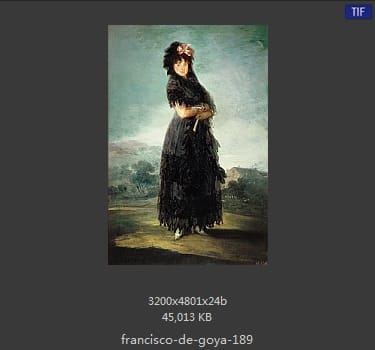 Francisco Goya
