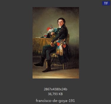 Francisco Goya