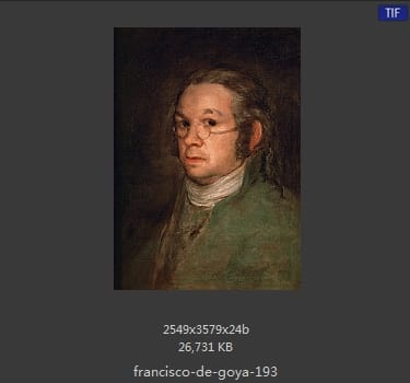 Francisco Goya