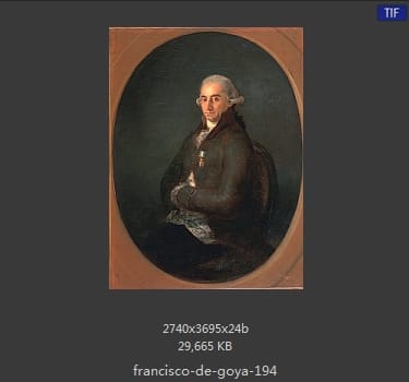 Francisco Goya