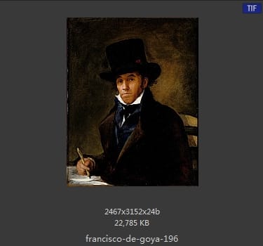 Francisco Goya