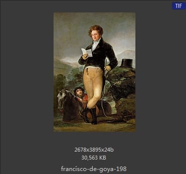 Francisco Goya