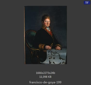 Francisco Goya