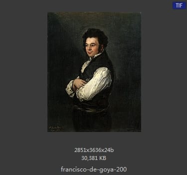 Francisco Goya