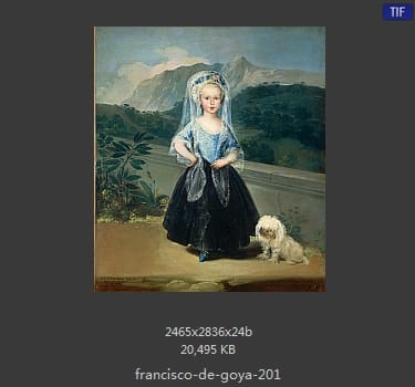Francisco Goya