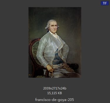 Francisco Goya