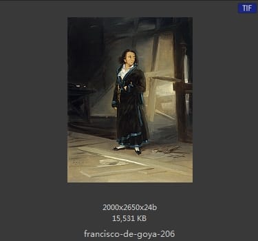 Francisco Goya