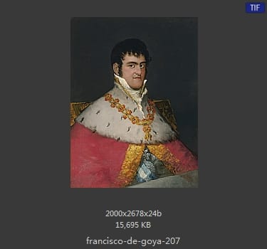 Francisco Goya
