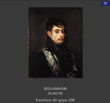 Francisco Goya
