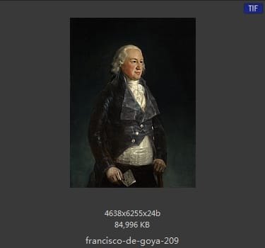 Francisco Goya