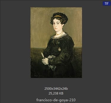 Francisco Goya