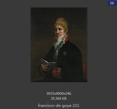 Francisco Goya