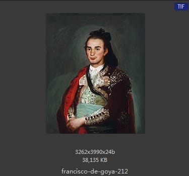 Francisco Goya