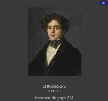 Francisco Goya