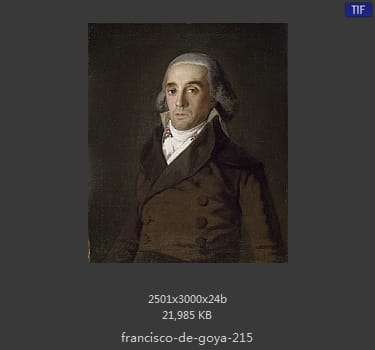 Francisco Goya
