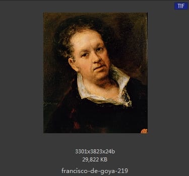 Francisco Goya