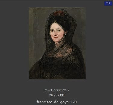 Francisco Goya
