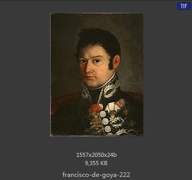 Francisco Goya