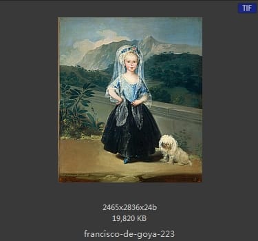 Francisco Goya