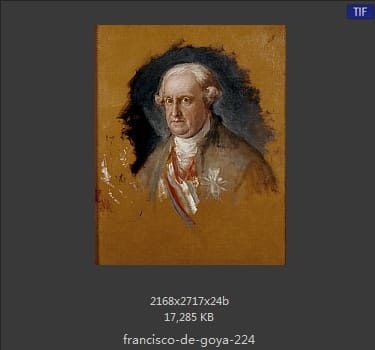 Francisco Goya