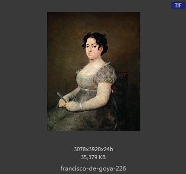 Francisco Goya