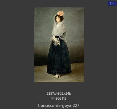 Francisco Goya