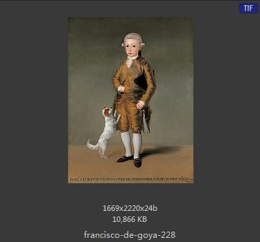 Francisco Goya