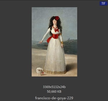 Francisco Goya