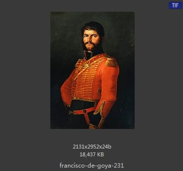Francisco Goya