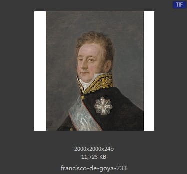 Francisco Goya