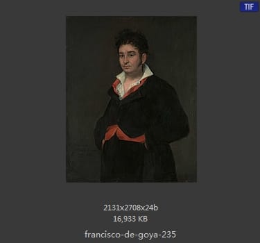 Francisco Goya