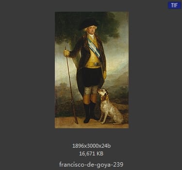 Francisco Goya